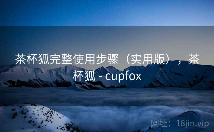 茶杯狐完整使用步骤（实用版），茶杯狐 - cupfox