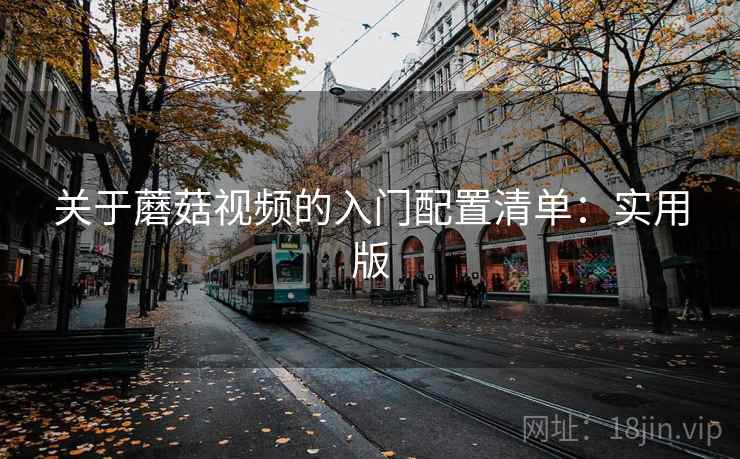 关于蘑菇视频的入门配置清单：实用版