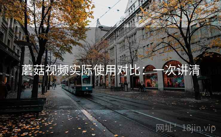 蘑菇视频实际使用对比：一次讲清